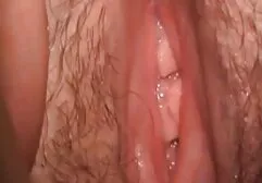 شانل پرستون و ماندینگو کونهایگنده آنال
