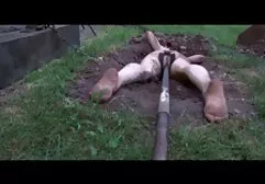 استریپر عاشق عکس کون بزرگ سکسی ماساژ هم هست